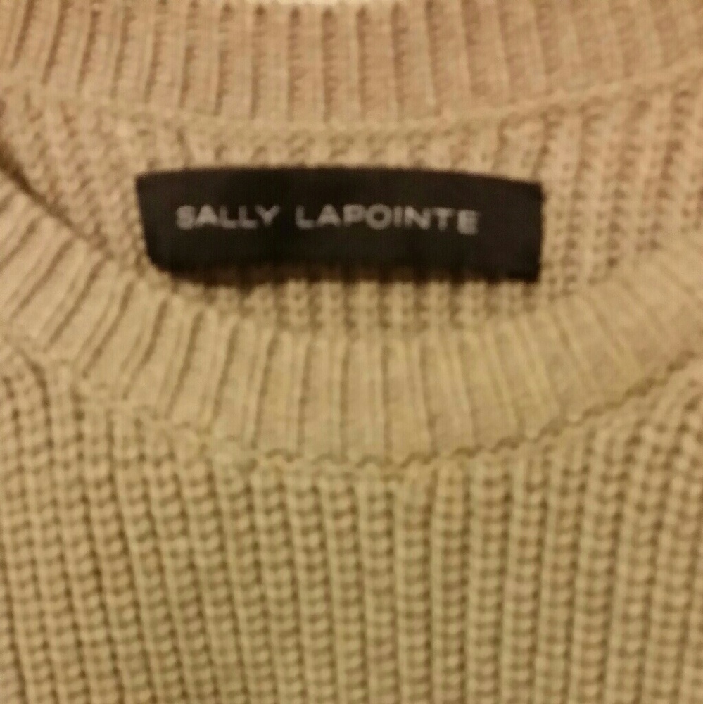 Sally Lapointe sweater